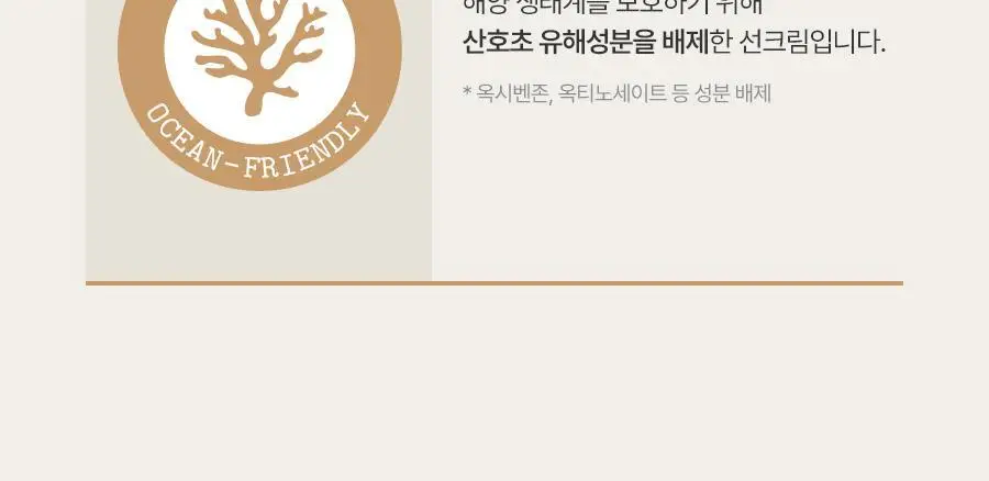 [레이PICK/수분코팅] 풀리 쌀 세라 수분 선크림 50ml (단품/기획) 상세페이지 41